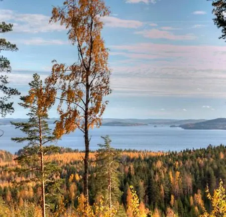 Ferienhaus Riihivuori