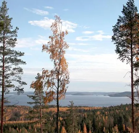 Ferienhaus Riihivuori Muurame